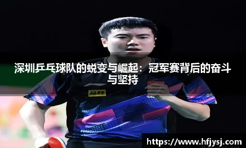 深圳乒乓球队的蜕变与崛起：冠军赛背后的奋斗与坚持